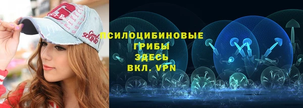 гашик Нея
