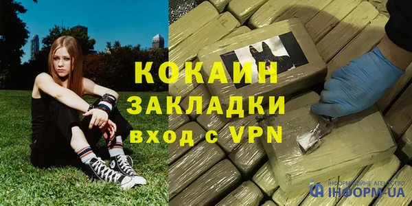 PSILOCYBIN Болотное