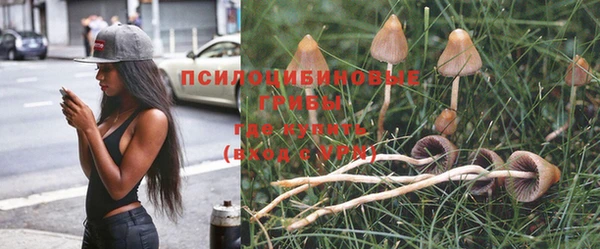 гашик Нея