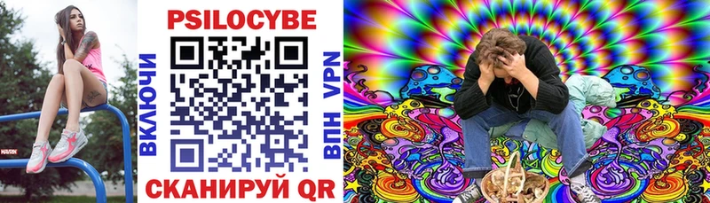 Галлюциногенные грибы Psilocybe  купить наркоту  Новомичуринск 